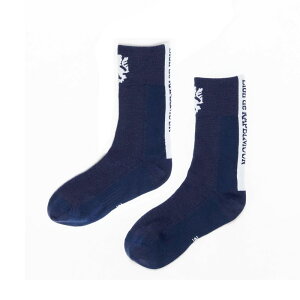 Jy~[ lisox015 TCN[VO\bNX O lCr[ STCY IEhEJy~[ Lion de kapelmuur