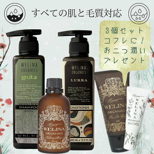 zf[RtׂĂ̔ƖюΉySgVv[{VRfBVi[{ϐz Th`FLbXAJA{fBt