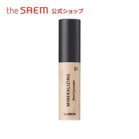 コンシーラー カバー力 毛穴カバー 保湿【公式】ザセム ミネラライジング ポア コンシーラー theSAEM/正規輸入品/国内発送