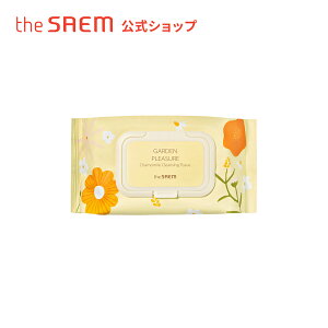 CNƂ @V[gyzUZ K[fvW[ J~[ NWO eBbV theSAEM/KAi/