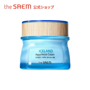 _305OFFN[|zz^N[ ς ێ ÁyzUZ ACXh ANA CXg N[ theSAEM/KAi/