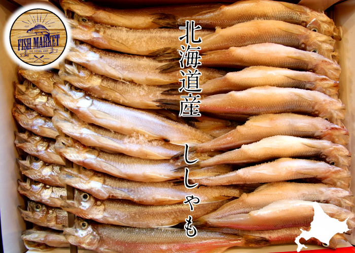北海道産 本ししゃも 大サイズ メス1箱 30尾入 北海道 柳葉魚 予約 ☆身はふっくら脂はジューシー 受注生産品 ししゃも