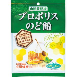 Rc{I v|X̂ǈ 40533   LfB َq XC[c َq܂ Mtg v[g j 蕨 j Ԃ  A yY  H HMtg HXC[c