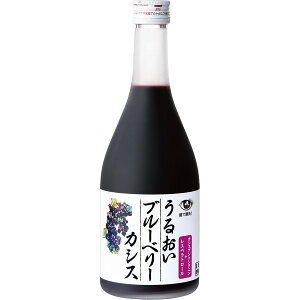 Rc{I 邨u[x[JVX 26515  ʎ uCN^C Mtg v[g j 蕨 j Ԃ  A yY  H HMtg HXC[c hV̓