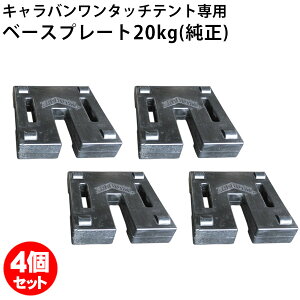 eg EFCg d 20kg 4Zbg Lo x[Xv[g DXegp ΍ S΍ d   тɂ o[R[eBO