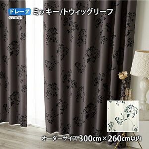 ~bL[}EXJ[e gEBbO[t C[W[I[_[(I[_[TCY 100/200/300cm×260cmȓ)Ռ EHbVu `L h[v