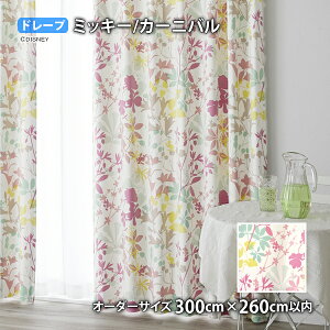 ~bL[}EXJ[e J[jo C[W[I[_[(I[_[TCY 100/200/300cm×260cmȓ)Ռ2 EHbVu `L h[v