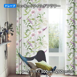 ~bL[}EXJ[e Cht[ C[W[I[_[(I[_[TCY 100/200/300cm×260cmȓ)Ռ2 EHbVu `L h[v