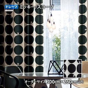 ~bL[}EXJ[e XR[v C[W[I[_[(I[_[TCY 100/200/300cm×260cmȓ)Ռ2 EHbVu `L h[v