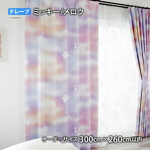 ~bL[J[e E C[W[I[_[(I[_[TCY 100/200/300cm×260cmȓ)Ռ2 EHbVu `L h[v  o[ [Ă ~j[ v[g hih O[tB[