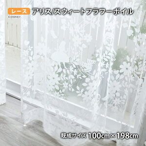 AX[XJ[e XEB[gt[{C(100cm×133/176/198 cm)EHbVu {C VA[ AX `FVL vETM