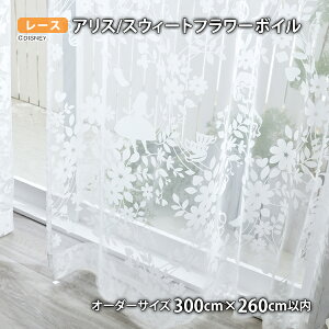 AX[XJ[e XEB[gt[{C C[W[I[_[(100/200/300cm×260cmȓ)EHbVu {C VA[ AX `FVL vETM