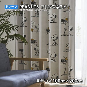 �s�[�i�b�c�J�[�e�� �t�����Y�l�X�g(��100cm×��135/178/200cm)�E�H�b�V���u�� �Ռ�2�� �`��L�� �h���[�v �X�k�[�s�[ �E�b�h�X�g�b�N �`���[���YM.�V�����c