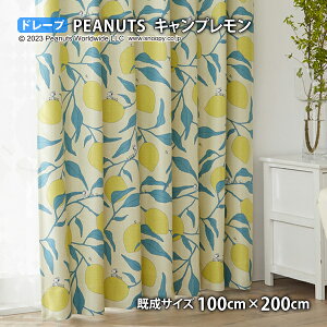 �s�[�i�b�c�J�[�e�� �L�����v������(��100cm×��135/178/200cm)�E�H�b�V���u�� �Ռ�2�� �`��L�� �h���[�v �X�k�[�s�[ �E�b�h�X�g�b�N �r�[�O���E�X�J�E�g �`���[���YM.�V�����c