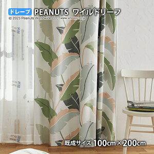 �s�[�i�b�c�J�[�e�� ���C���h���[�t(��100cm×��135/178/200cm)�E�H�b�V���u�� �Ռ�2�� �`��L�� �h���[�v �X�k�[�s�[ �`���[���YM.�V�����c