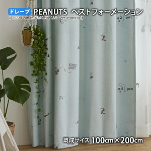 �s�[�i�b�c�J�[�e�� �x�X�g�t�H�[���[�V����(��100cm×��135/178/200cm)�E�H�b�V���u�� �Ռ�2�� �`��L�� �h���[�v �X�k�[�s�[ �E�b�h�X�g�b�N �`���[���YM.�V�����c