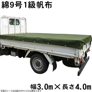 ȔzgbNV[gODF(91zODFeh)(3.0m×4.0m) בV[g בJo[ 3m 4m Y zEl̓X S[vt