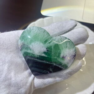  VR GWFtFU[ t[Cg n[g   H u