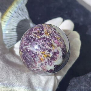 VR jR[Xg[ LL XtBA }CJ ۋ u sN 