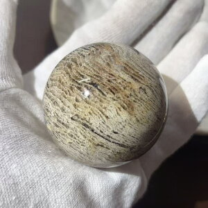 VR w S[Xg K[f NX^ NH[c XtBA O[ 50.1mm