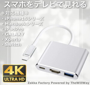 3in1 ^CvC HDMIϊ A_v^[ P[u XCb` ^CvC X}z MacBook GALAXY iPadPro iPhone15 iPhone15Plus iPhone15Pro iPhone15ProMax iPhone16 iPhone16Pro iPhone16ProMax ACpbhv MNV[ Q[ e