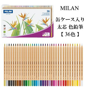 MILAN ~ ʃP[X c FM y36Fz  킢 [bp [  낦҂ v[g w UEBh CO uh  X^CbV Vv