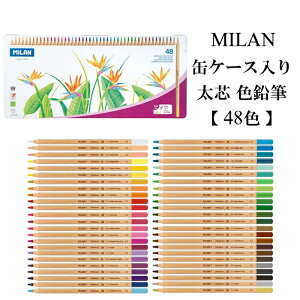 MILAN ~ ʃP[X c FM y48Fz  킢 [bp [  낦҂ v[g w UEBh CO uh  X^CbV Vv