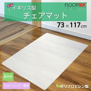 FLOORTEX �t���A�e�b�N�X �|���v���s���� �iPP�j �`�F�A�}�b�g �y�n�[�h�t���A �p�z�y�����`(73×117cm)�zFTXECCMFLLA0001������� �I�t�B�X �����[�g���[�N �֎q ���ی� �}�b�g �U�E�B���h ���� �V