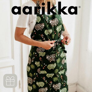 y50NLOzaarikka A[bJ Ђ̃GvLb` Gv O| k G  Ђ qcW v[gNX}X AAbJ UEBh  Vv 킢