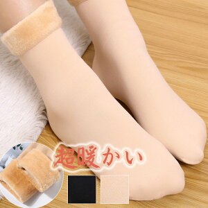 \bNX N F2 C g   [\bNX N \bNX Vv n ItBX ӂӂ ₦ ~ h ΍ ۉ fB[X Y \