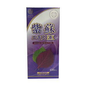 STYLE JAPAN �X�^�C���W���p���@���h�G�L�XEX