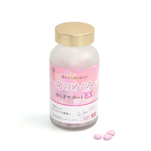 STYLE JAPAN �X�^�C���W���p�� ���̂߂���