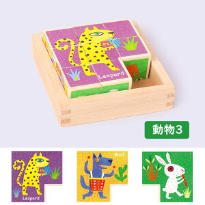 L[upY 3D̃pY ؐ ςݖ q mߋ  蕨 Cm `킹 ؂̂ j̎q ̎q  Ԃ xr[ oYj ۈ牀 av[g gݗ 