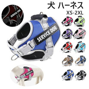  n[lX  ^ ^ ^  nht  Ȃ ȒP ybgpn[lX l[ _炩 ʋC ybg U  ybgpi p t H ~ 