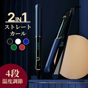 wAAC ~j J[ 2way wAX^C OAC }CiXCI LCDtj^[ 170`230x