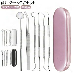 オーラルケア 歯石取り スケーラー」の人気商品一覧 | 安い商品を通販 