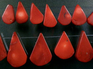 VR΃r[YXi񂲁j hbv 20×15×8mm炢1/4A10cm