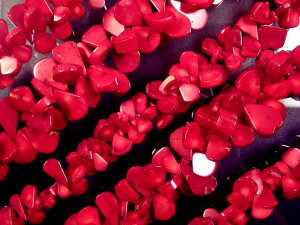 VR΃r[YXi񂲁j hbv 20×15×8mm炢1A40cm