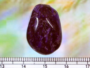 �V�R�� �X�M���C�g�嗱 �^���u��31.9carat23×16×10mm