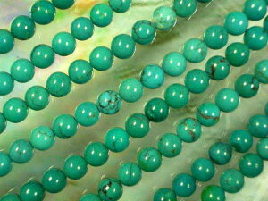 �V�R�΃r�[�Y�^�[�R�C�Y�ۋ�6mm No.1�E1�A40cm 67�O��