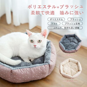 �yP5�{�z�� �y�b�g�n�E�X �y�b�g�x�b�h �l�R �L �h�[���^ ���^�� �y�b�g�p�x�b�h �y�b�g�x�b�h �N�b�V���� �������� �L �� �p�x�b�h �~ �y�b�g �� �ӂ�ӂ�N�b�V�����g�����y�b�g�N�b�V����