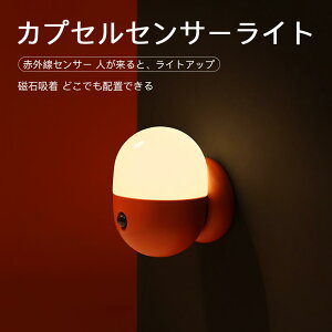 }\yP5{z4200k iCgCg xbhTChv JvZZT[Cg ͋C̃iCgCg ԊOZT[ lƁACgAbv ΋z ǂłzuł 