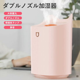 お買い物マラソン【P5倍】新型 加湿器 大容量3L USB加湿器 卓上加湿器 usb充電式加湿器 USB静音加湿器 USB携帯充電 ダブル噴霧加湿器 usb充電 自宅用静音 寝室オフィス 空気加湿 ダブルノズル 雰囲気ランプ ダブルノズル加湿器 強いミストで潤い