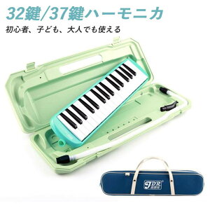 }\yP5{z32/37n[jJ i fBsAm Ճn[jJ n wZ ct y  SҁAqǂAlłg