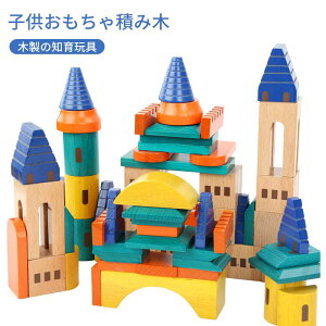 }\yP5{zuiޏ̐ςݖ69_Zbg qςݖ ؐ̒mߋ `F ώ@\ Ԃ̑z ώ@Ďvl ]̔B ̐ςݖ69_Zbg wKߋ m