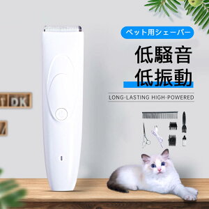 }\yP5{zp  L ybgp   R[hX S vp g~O Z~bN`^n 􂢉\ sN S[h Lp gCv[h Éy F 􂢉 