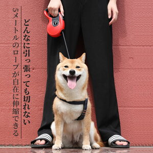 }\yP5{z5[g̃[v݂ɐLkł  [h n[lX Lk[h 莮 hbO [h y x [h U UObY ybgpi  x