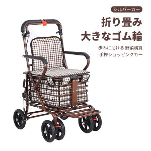 }\yP5{zVo[J[   dwu[L  ԃXeg 傫ȃS lփVbsO ܂ ݂ɏ N 艟VbsOJ[ ړ s