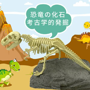子供 恐竜の化石 考古学的発掘 科学教育玩具 手作りで骨を組み立てる 恐竜 おもちゃ 模型をシミュレーションする 恐竜の化石 考古学的発掘 恐竜の卵発掘玩具 子供用知育玩具 たまご 化石 