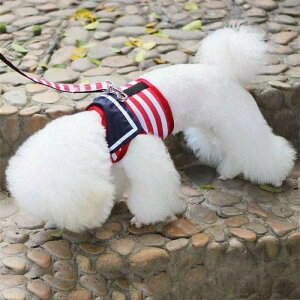 Lpn[lX [hZbg   xXg  lRp ˂p Lbg CAT U o|  Z[[ fj W[Y hbg  lN^C LbgEFA Lb